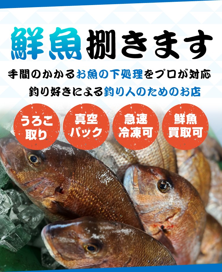 福井県美浜町の海上釣り堀などで釣れたお魚の下処理・捌き専門店【うろこ屋】